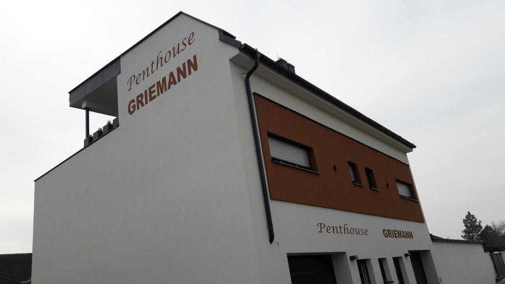 Penthouse Griemann 2 Fuer Max 4 Personen Mit Eigener Grosser Dachterrasse Zum Relaxen! Illmitz Extérieur photo